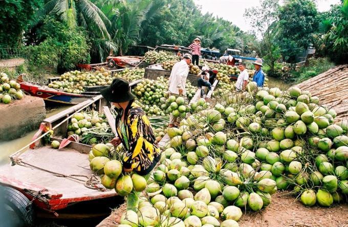Ben TreLe Mekong Bleu公寓 外观 照片